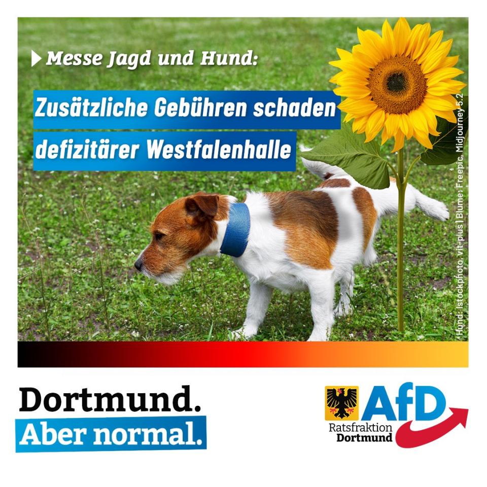 +++ Messe Jagd und Hund: Zusätzliche Gebühren schaden defizitärer Westfalenhalle +++
