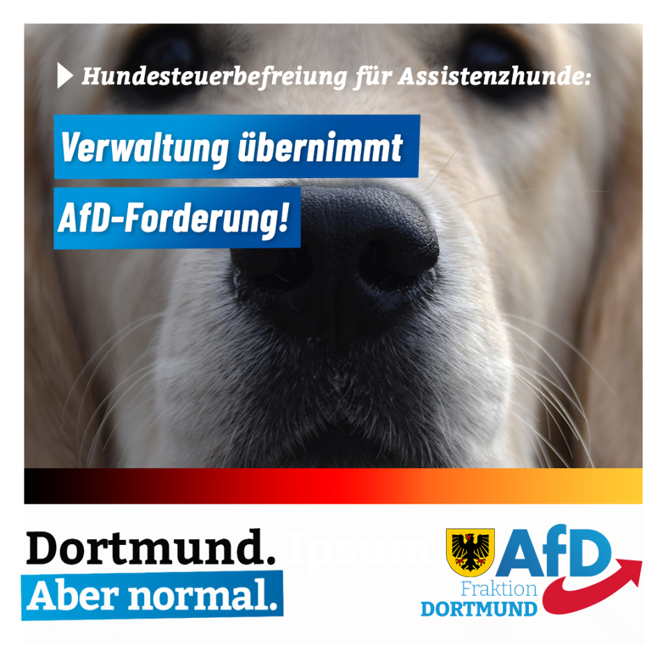 +++ Hundesteuer - Verwaltung übernimmt AfD-Forderung +++