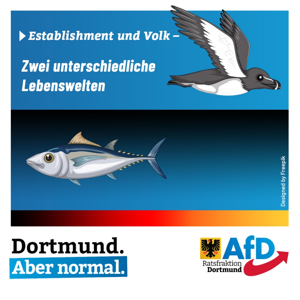 +++ Establishment und Volk – Zwei unterschiedliche Lebenswelten +++