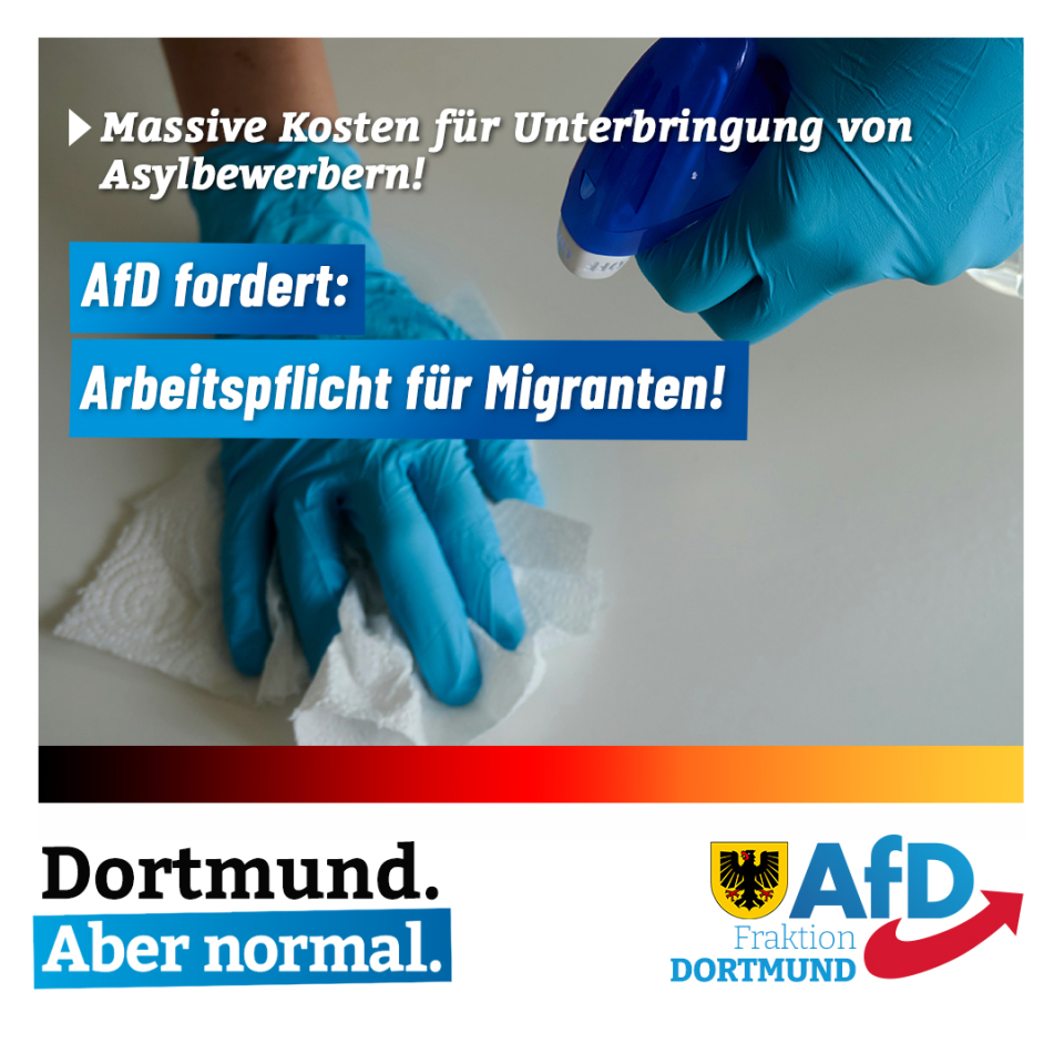 +++ AfD-Antrag: Arbeitspflicht für Migranten! +++